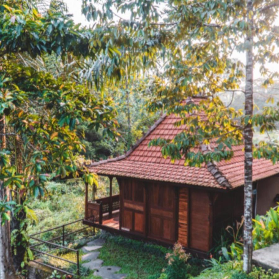 The Jungle Villa Ubud  Bagian luar foto