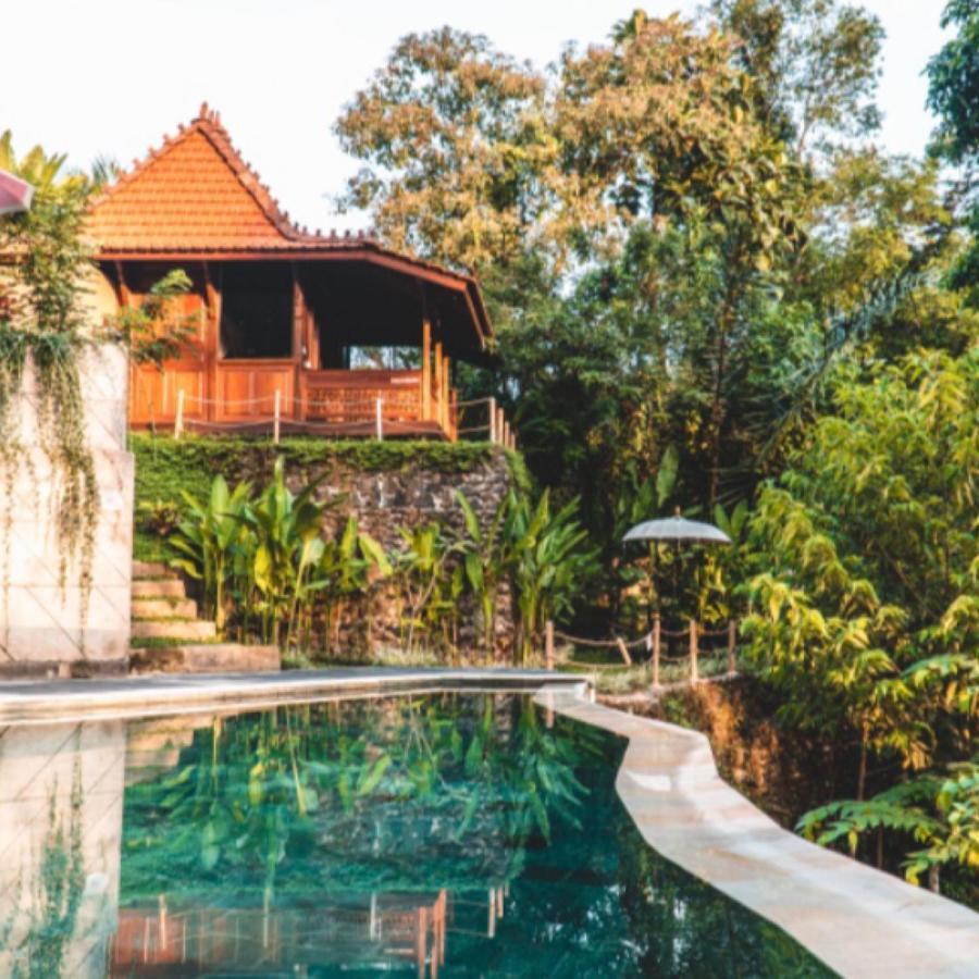The Jungle Villa Ubud  Bagian luar foto