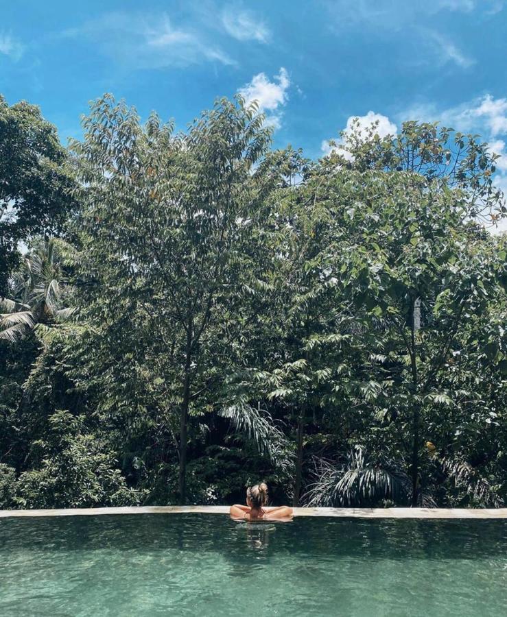 The Jungle Villa Ubud  Bagian luar foto