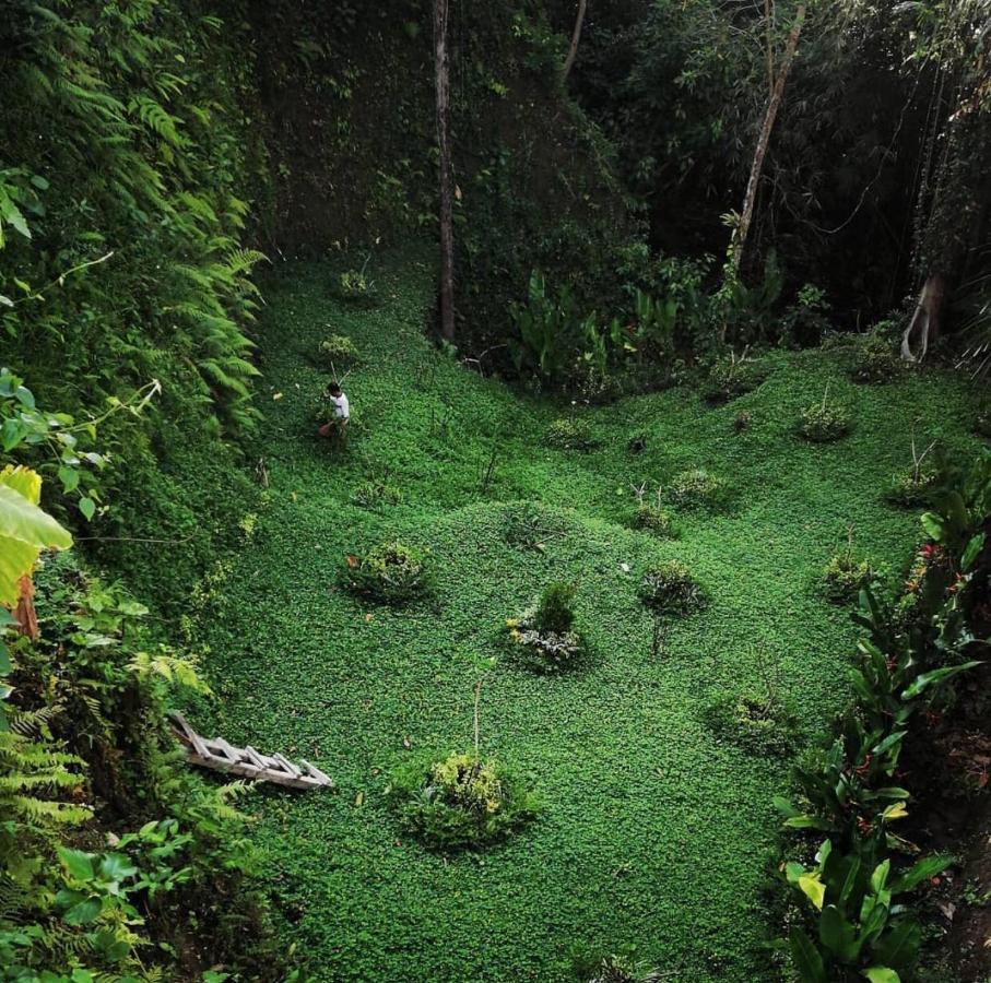 The Jungle Villa Ubud  Bagian luar foto