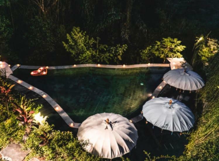 The Jungle Villa Ubud  Bagian luar foto